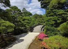 Bitkilendirme Çözümleri