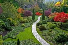 Çevre Düzenleme ve Peyzaj